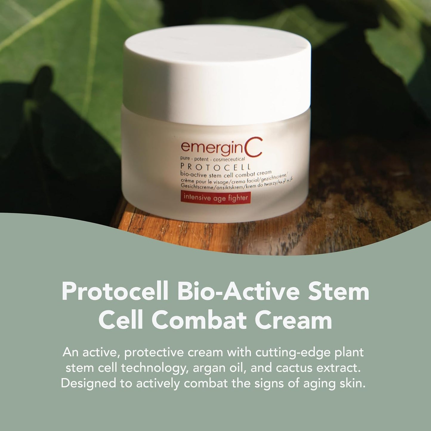 Protocell Anti-Aging Face Cream - Bio-Active Plant Stem Cell Moisturizer with Hyaluronic Acid - Combats Visible Signs of Aging, Fine Lines + Wrinkles (1.7 Oz, 50 Ml)