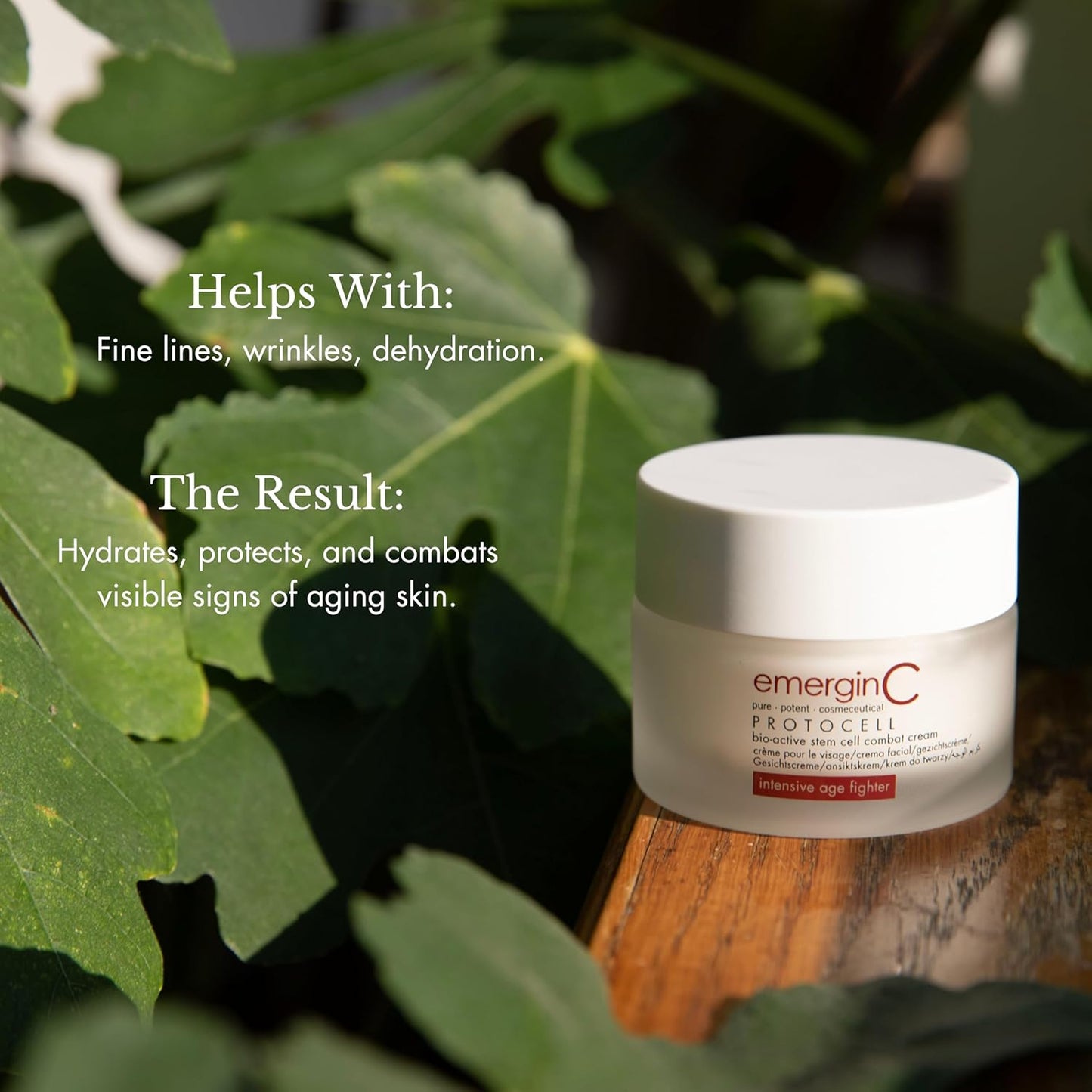 Protocell Anti-Aging Face Cream - Bio-Active Plant Stem Cell Moisturizer with Hyaluronic Acid - Combats Visible Signs of Aging, Fine Lines + Wrinkles (1.7 Oz, 50 Ml)