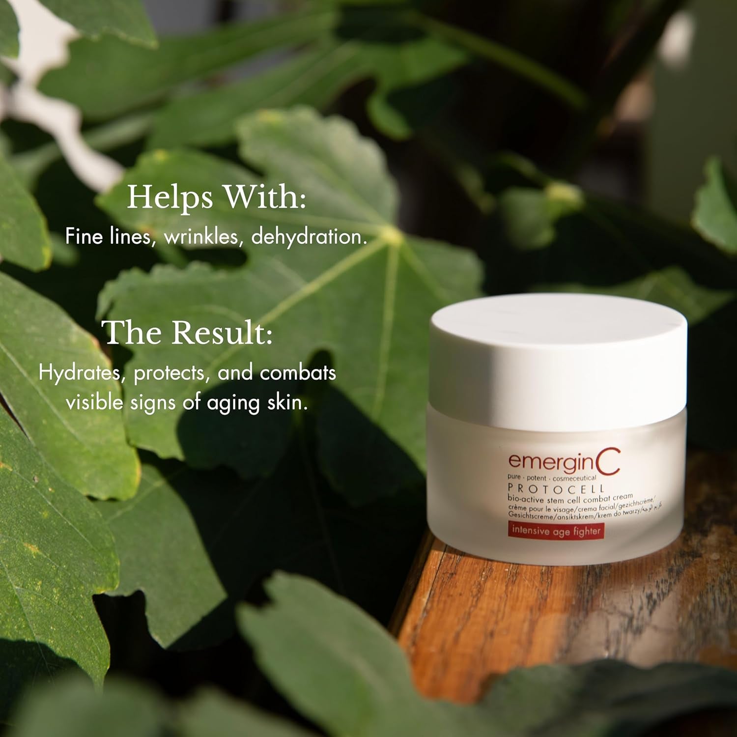Protocell Anti-Aging Face Cream - Bio-Active Plant Stem Cell Moisturizer with Hyaluronic Acid - Combats Visible Signs of Aging, Fine Lines + Wrinkles (1.7 Oz, 50 Ml)